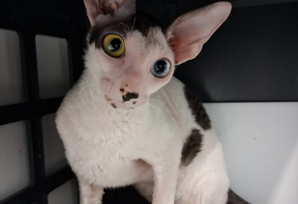 05d91a39-c073-493d-b469-114b1fcb1dc9