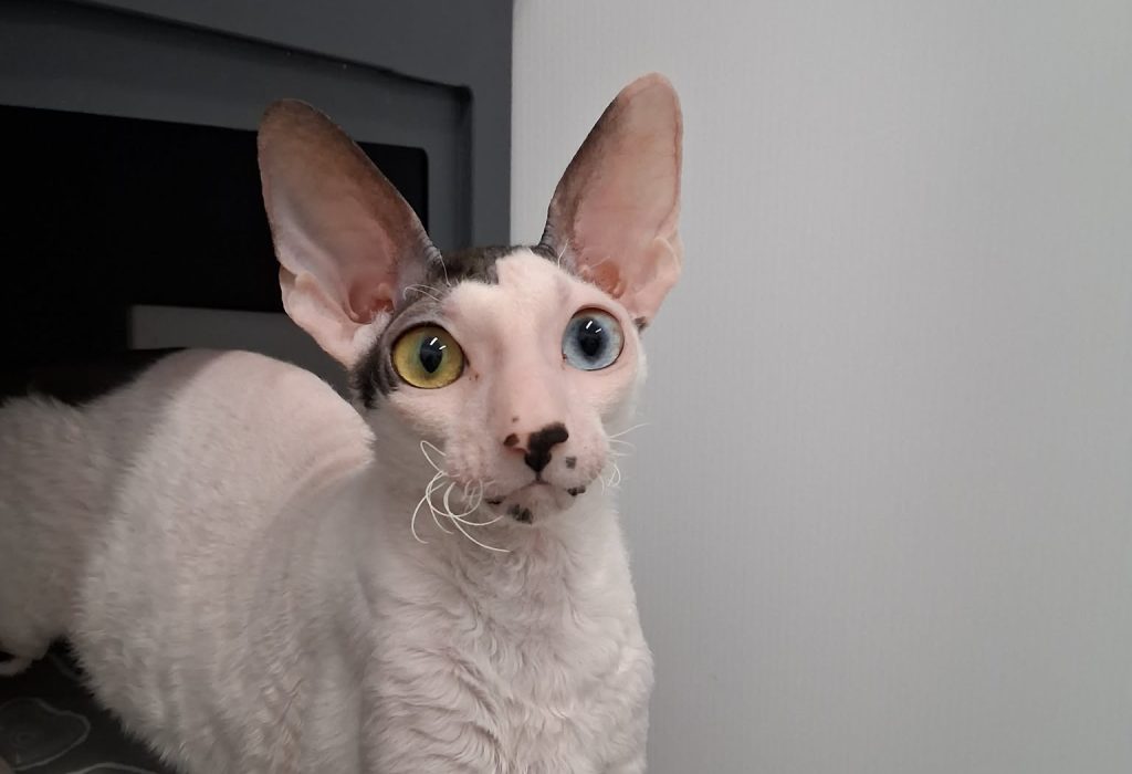 430d07e4-26a3-4ee7-a07d-f947b738a105