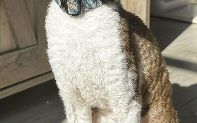 74cd182b-1c54-4d0e-9284-9e14a198b4e2