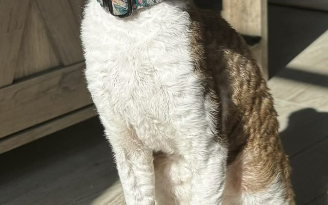 8a0f7a12-f12a-480c-9821-5944e7e289a1