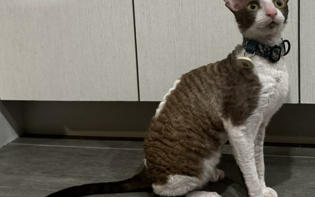 8db40bbd-c368-4aa7-874b-5ea0cde82a93