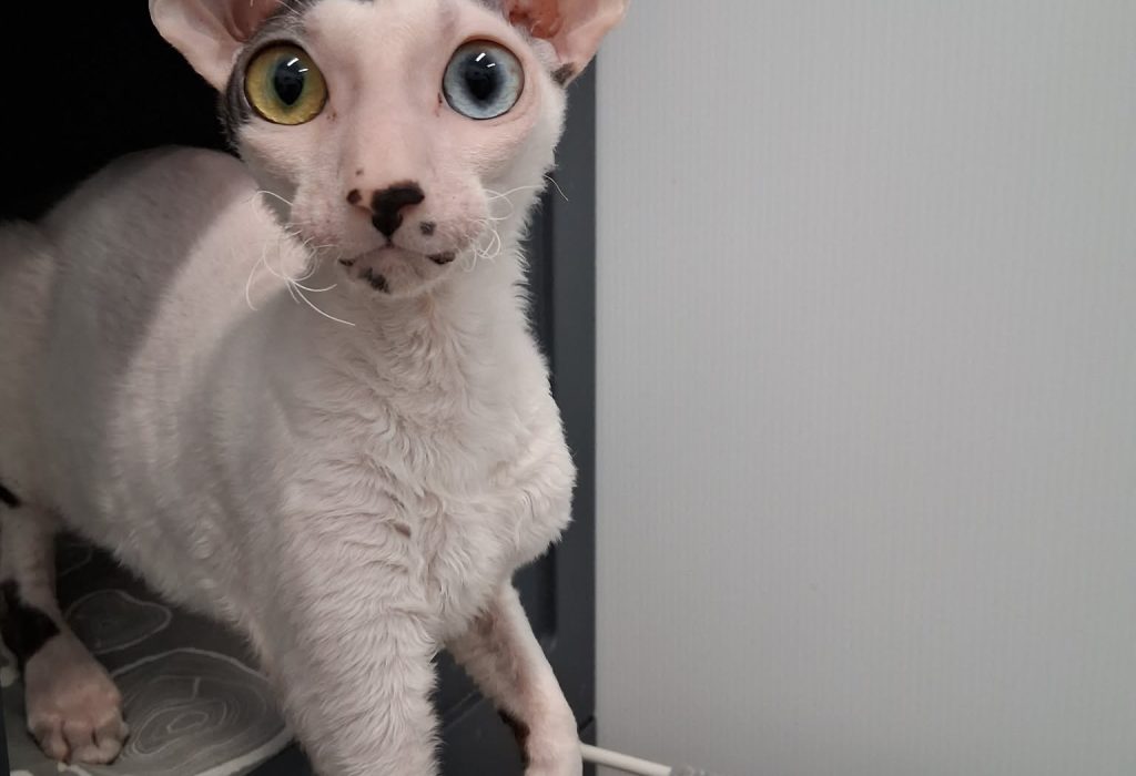 ef0852a9-bed1-4c88-8b74-65ff241f1b67